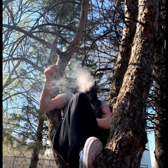 Meet your Posher, Nevaeh - Picture 1 of 1